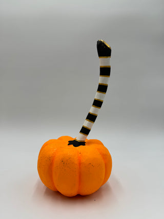 Orange & Cream Pumpkins