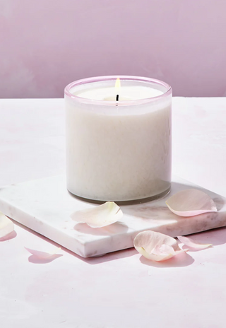 Blush Rose Classic and Signature Candle - 6.5oz, 15.5oz