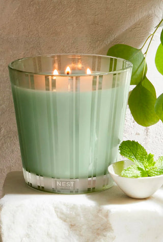 Wild Mint + Eucalyptus 3-Wick Candle