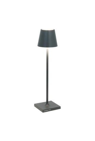 Poldina Pro Micro