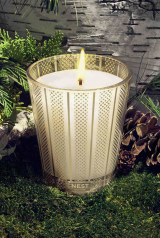 Birchwood Pine Classic Candle
