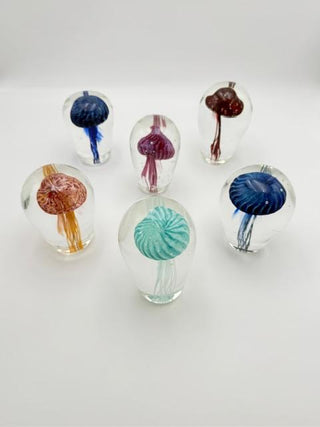 Jellyfish Study I - Clear Glass & Assorted Colors