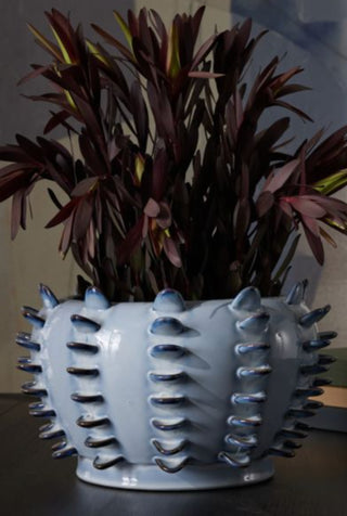 Aura Vase