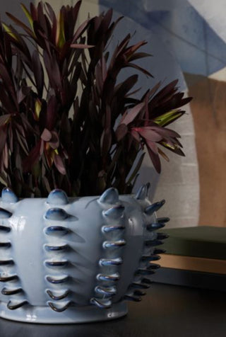 Aura Vase
