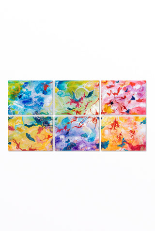 Rainbow Coral Belief 1-6
