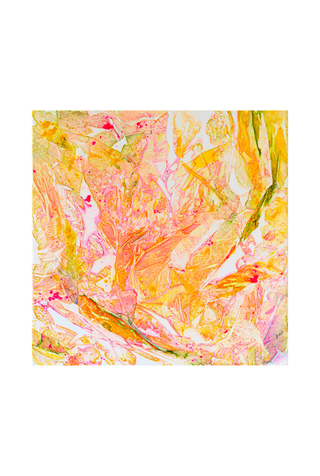 Coral Breeze