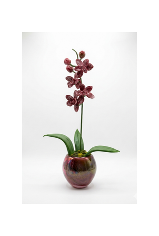 Pink Orchid