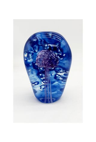 Jellyfish Study II
