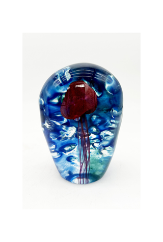 Jellyfish Study III