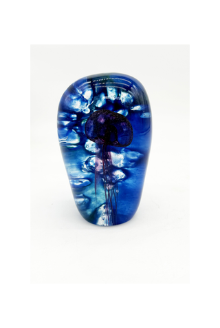 Jellyfish Study IV