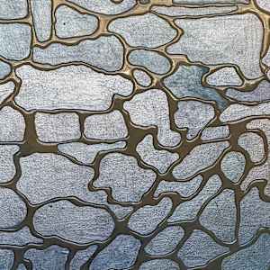 Sea Cell by Kate DeOssie