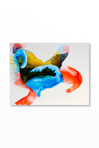Rooster Clam