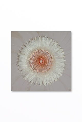 Stunning Botanical