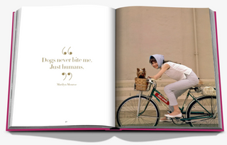 Chic Dogs