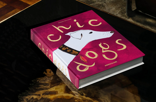 Chic Dogs
