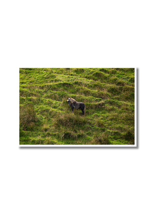 The Eriskay