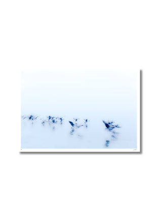 The Flock