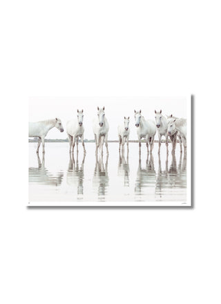 White Horses