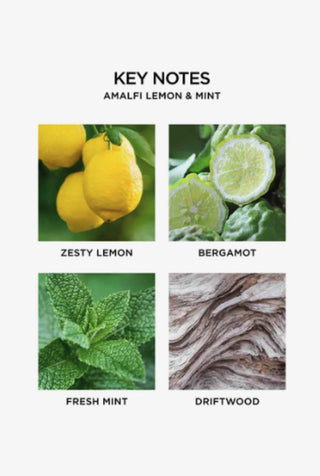 Amalfi Lemon + Mint Classic Candle