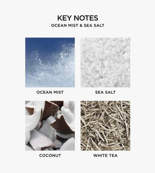 Ocean Mist + Sea Salt Diffuser Gray Malin - Atelier Modern